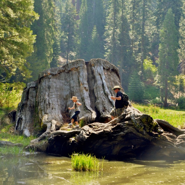 Balch and Mountain Home