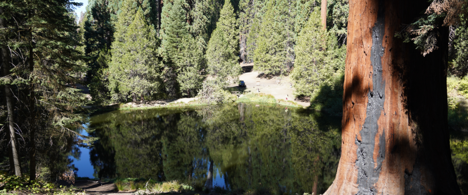 Balch Park