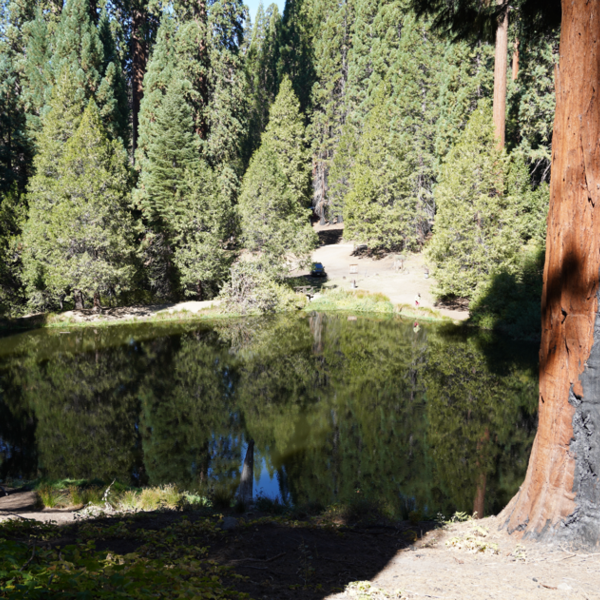 Balch Park